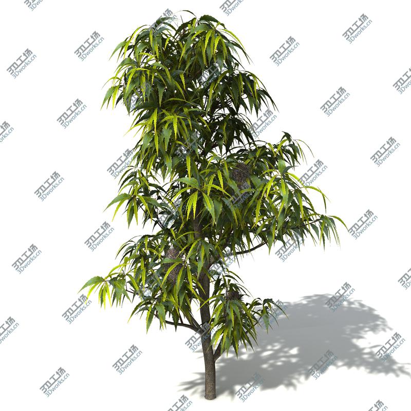 images/goods_img/2021040165/XfrogPlants Oceania 2/2.jpg